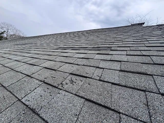 Low-angle view of an asphalt shingle roof slope
